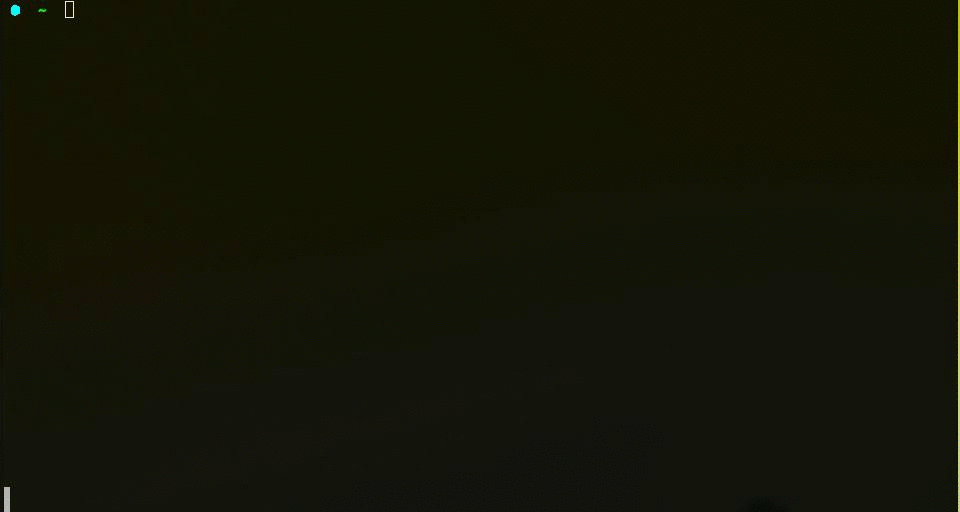 NPM setup